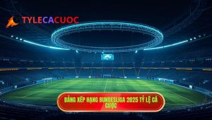 Bảng xếp hạng Bundesliga 2025: Cuộc Đua Khốc Liệt Và Những Bất Ngờ Từ Đức